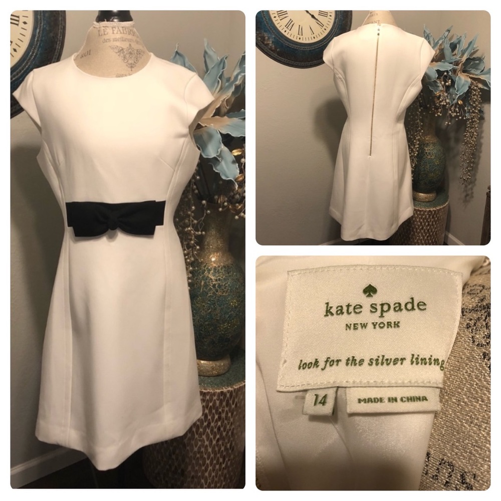 Kate Spade Day to Night Dress